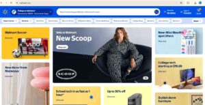 Walmart Website